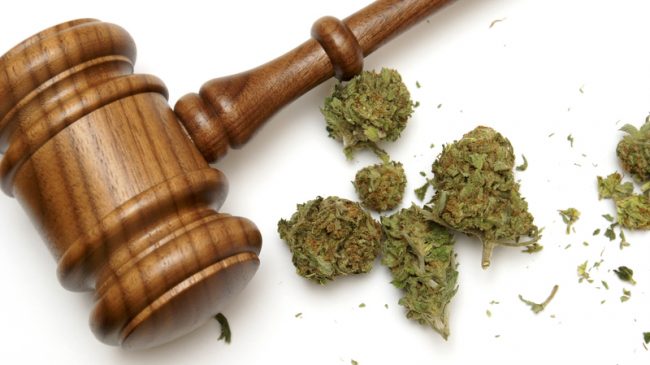 Medical Marijuana Dispensary Owner Charles Lynch Discusses His Prison Sentence