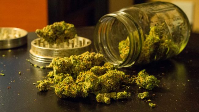 Colorado, Washington State Vote to Tax and Regulate Recreational Marijuana for Adults