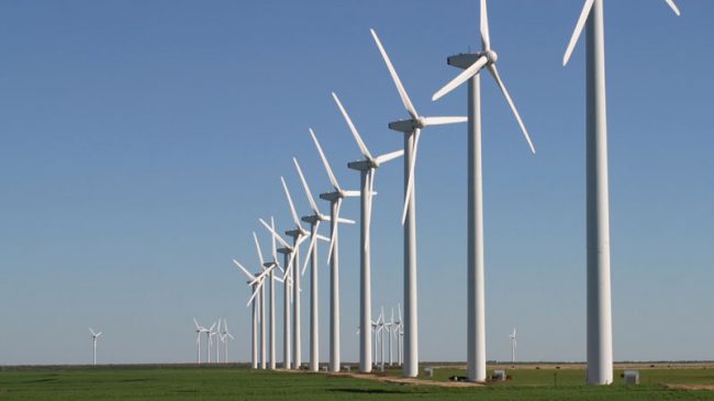 Obama Administration’s Wind Energy Subsidies Have Birds Very Frightened
