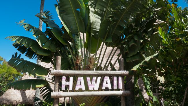 Hawaii Legislature To Consider Bills for a Tax Credit Scholarship Program and Charter School Expansion