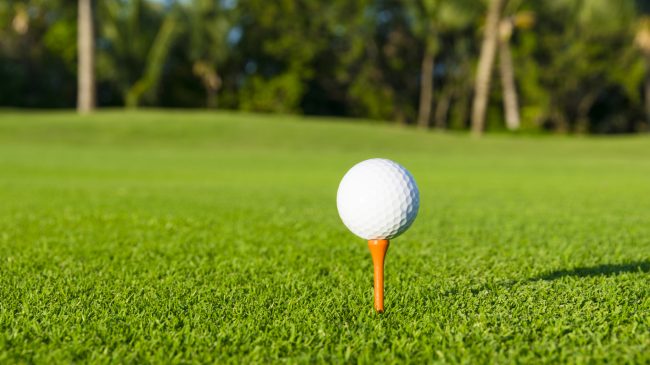 Improving Detroit’s Public Golf Courses Demands Longer-Term Solutions