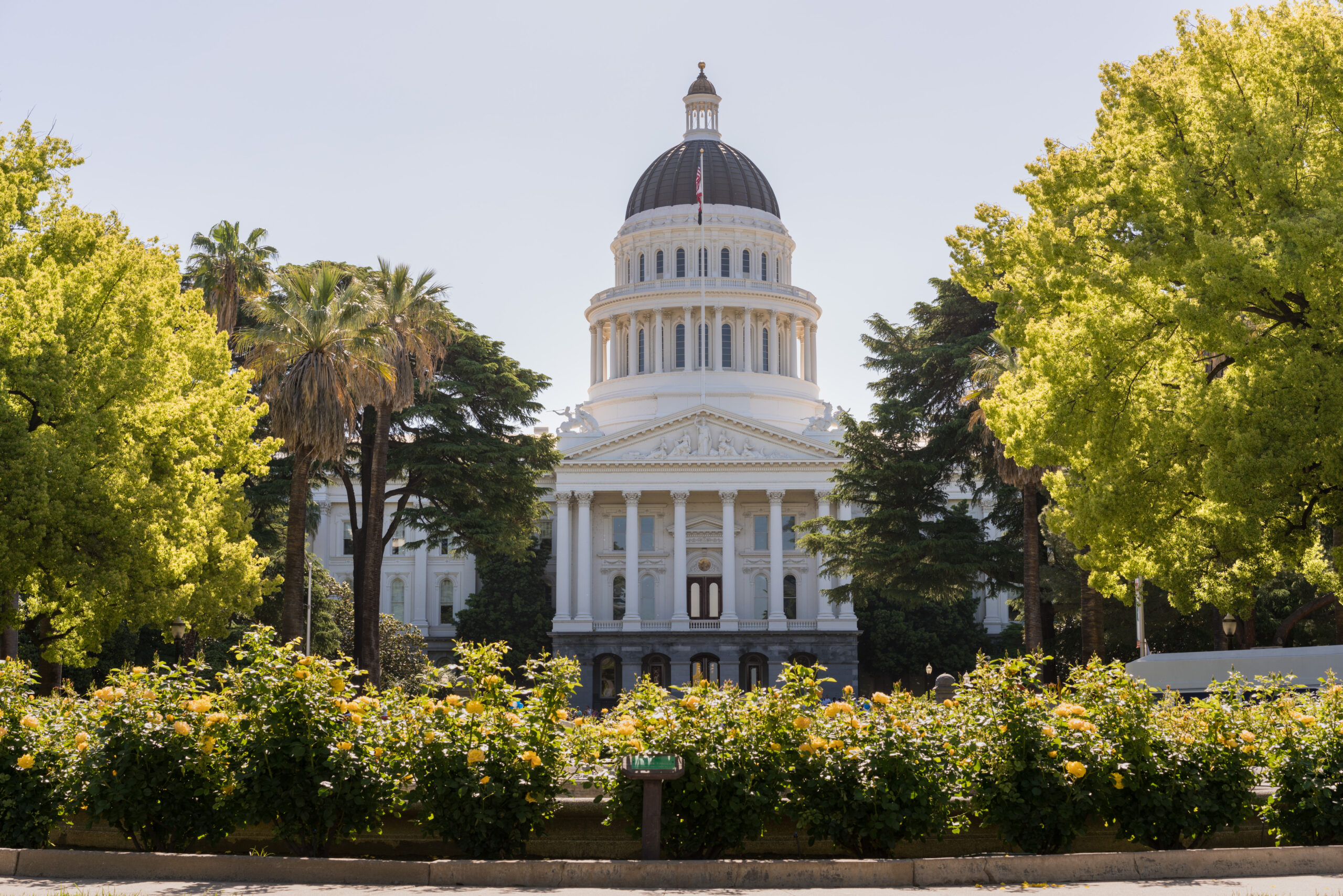 California SB 58 proposes constructive reforms, but could go farther