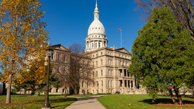 Assessing Michigan voters’ support for legalizing psychedelic therapy