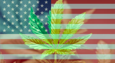 Cannabis Freedom Alliance Launches, Aims to Spur Federal Legalization of Marijuana