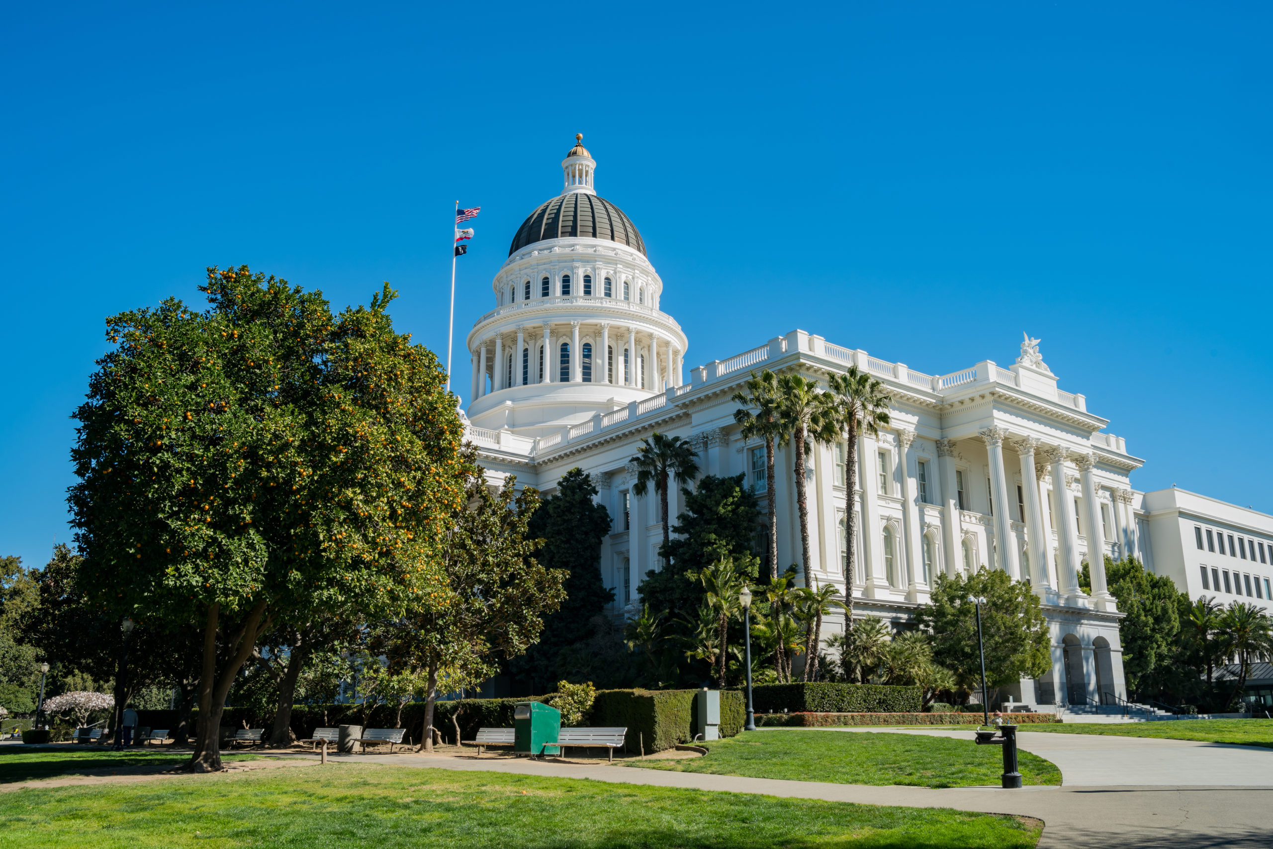 The Good and Bad In California's Revised Budget, Which Projects a $54 ...