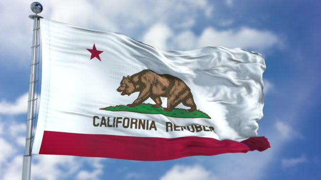 Voters’ Guide to the 2020 California Ballot Initiatives