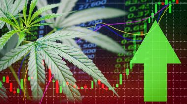 Market Size Estimates For Legalized Marijuana