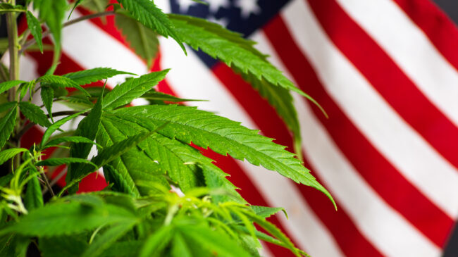 Frequently asked questions about the States Reform Act, a proposed marijuana bill