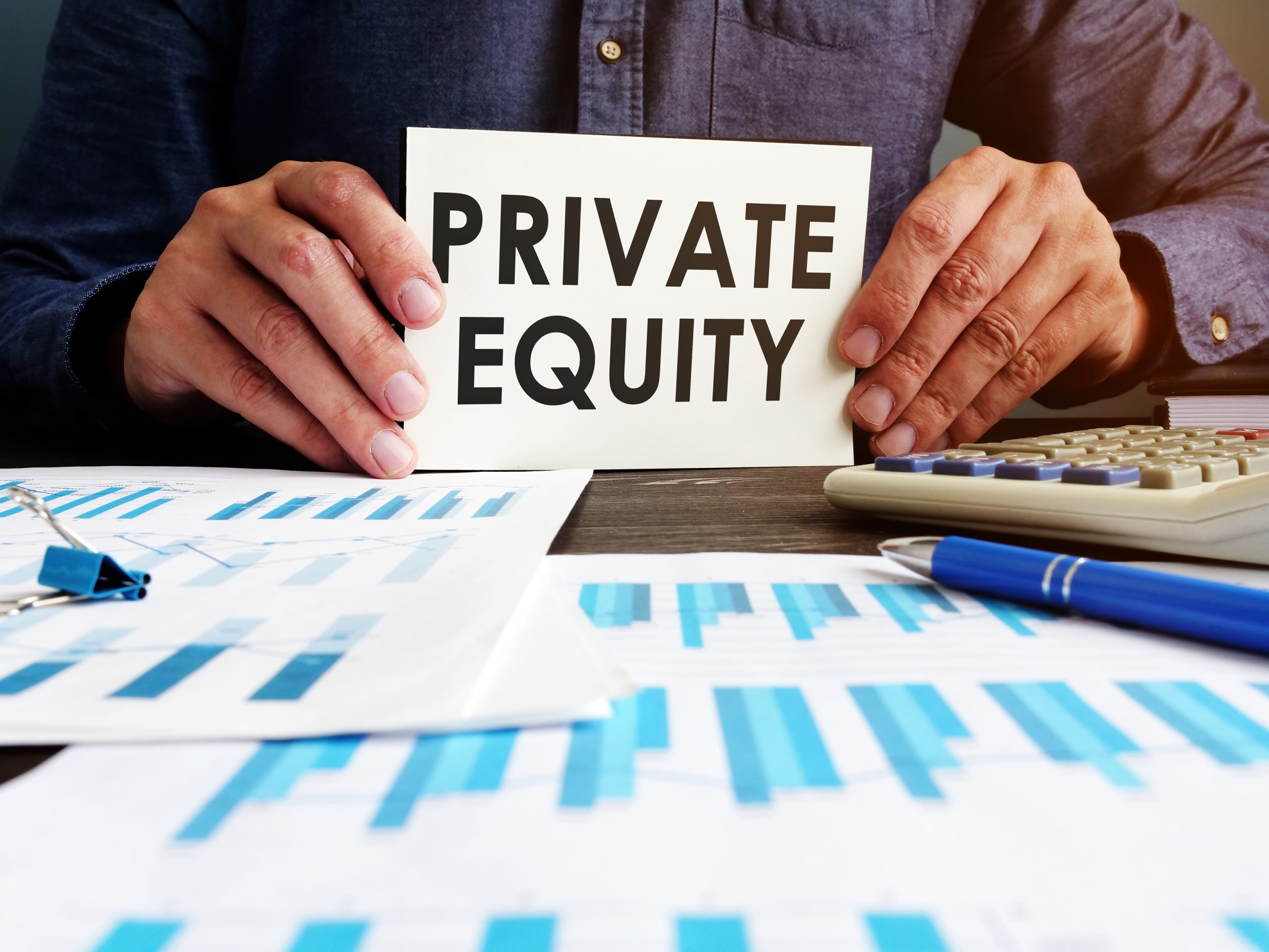 Examining Private Equity in Public Pension Investments