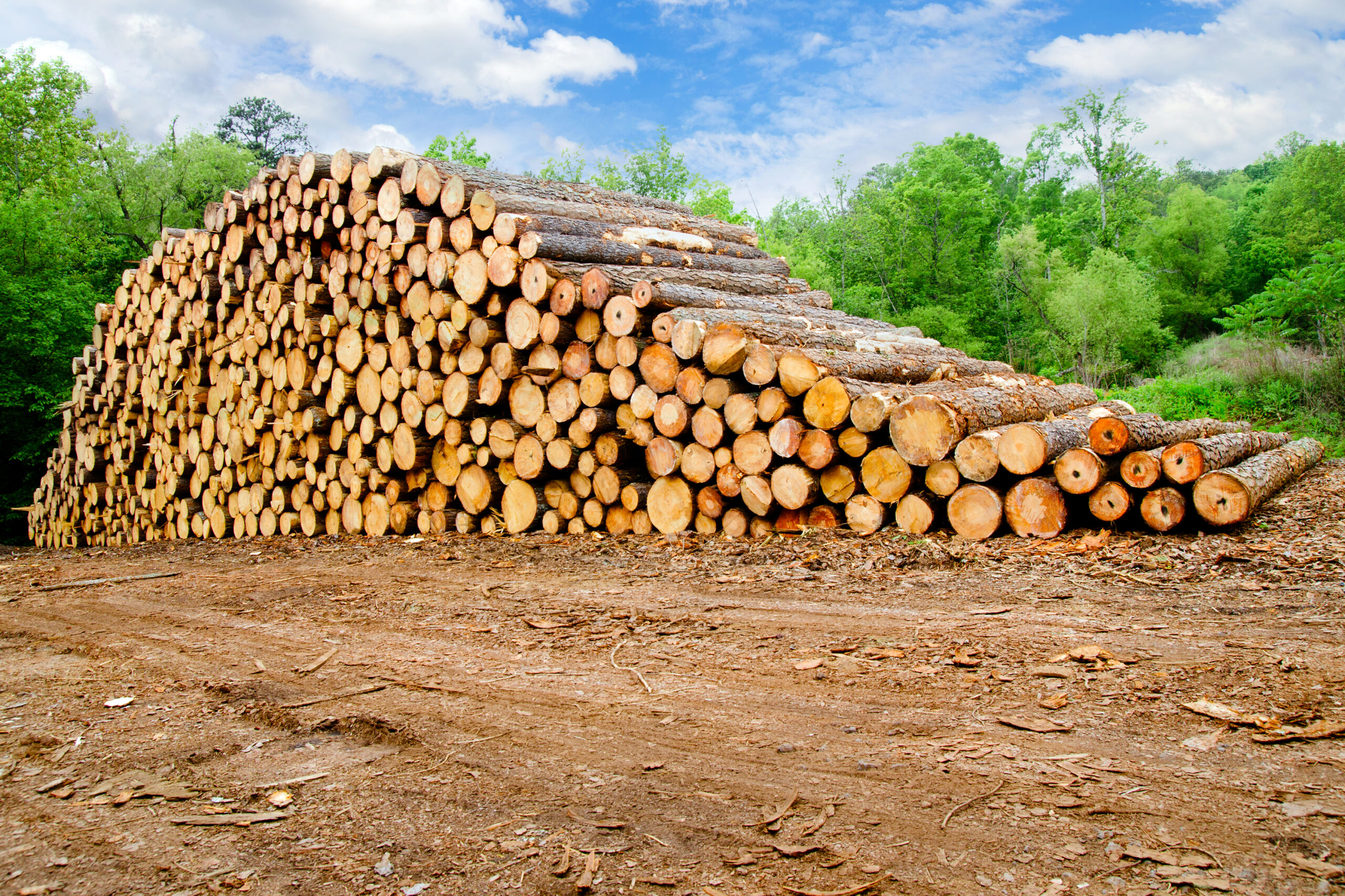 Georgia Measure To Make Timber Equipment Exempt From Property Taxes 2022 