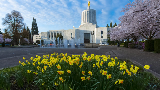 Oregon Supreme Court Ruling Has Major Implications for Retirement Security and Hybrid Plan Design