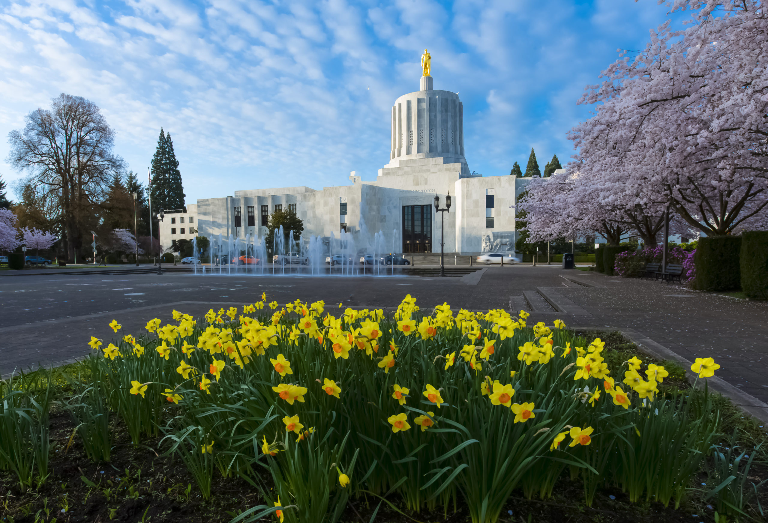 Oregon Supreme Court Ruling Has Major Implications for Retirement Security and Hybrid Plan Design