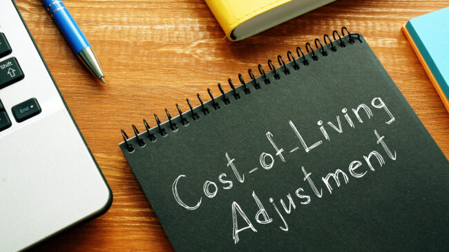 Best practices for cost-of-living adjustment designs in public pension systems