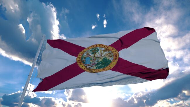 Voters’ guide to Florida’s 2022 ballot measures