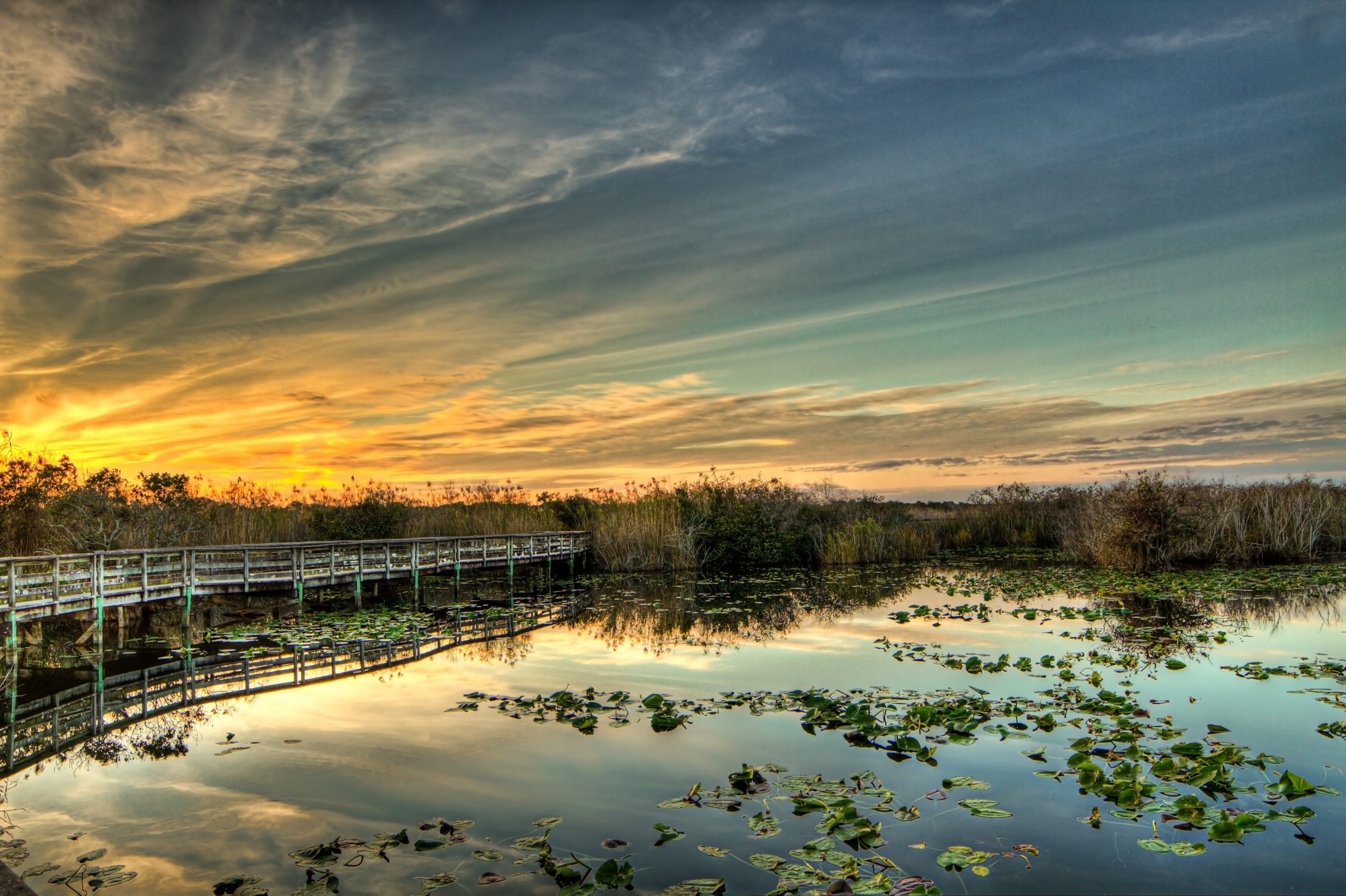 Lake Okeechobee florida water quality everglades restoration