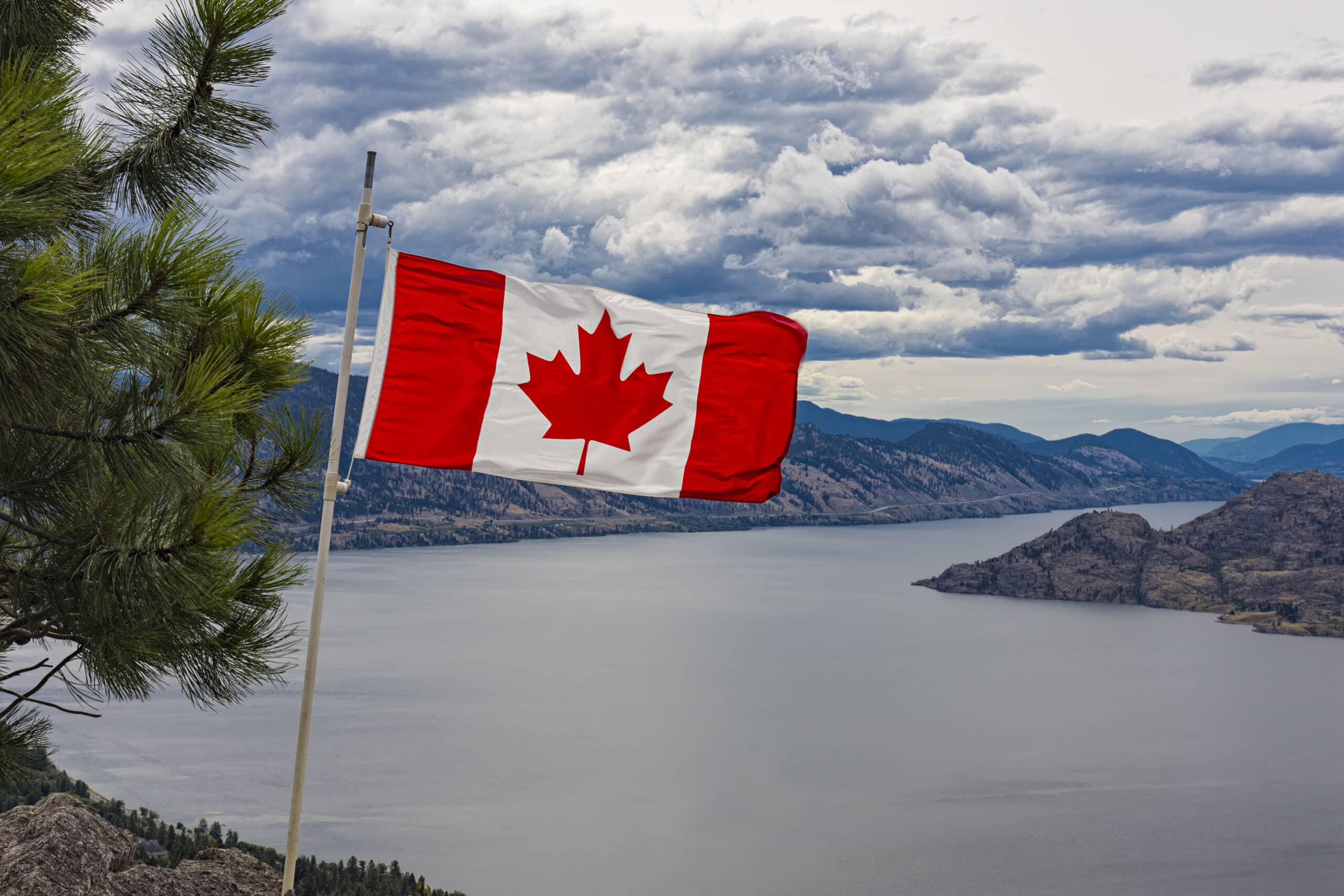 canada vape flavor ban 2024 Flavoured Vape Ban in Canada: What You Need to Know - Canada main image 1