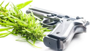 An evolving legal landscape for marijuana and firearms