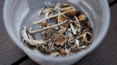 State psychedelics legalization and policy roundup — June 2025