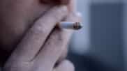 Testimony: Tobacco Harm Reduction in the UK
